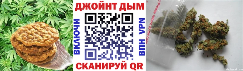 darknet как зайти  как найти закладки  Суровикино  Cannafood конопля 