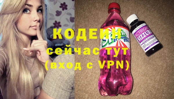 гашик Алзамай