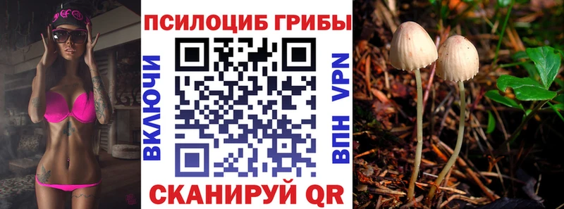 мега зеркало  Суровикино  Псилоцибиновые грибы мицелий  купить наркотик 